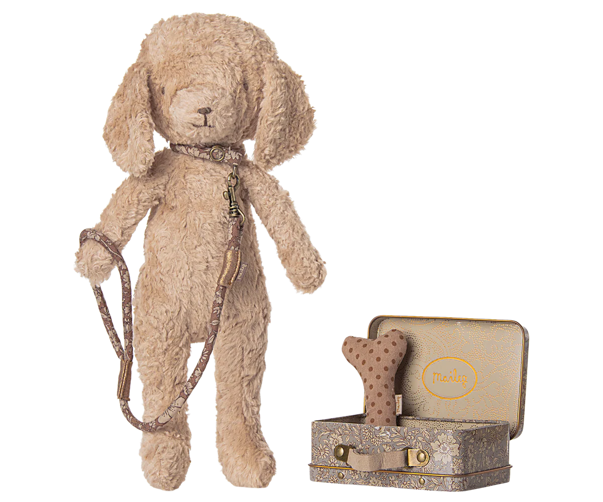 Dog supply, Accessories