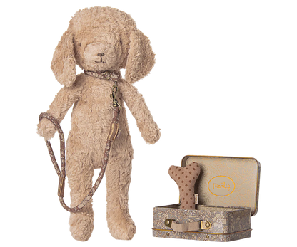 Dog supply, Accessories