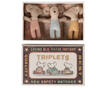 Triplets, Baby mice in matchbox - Checker