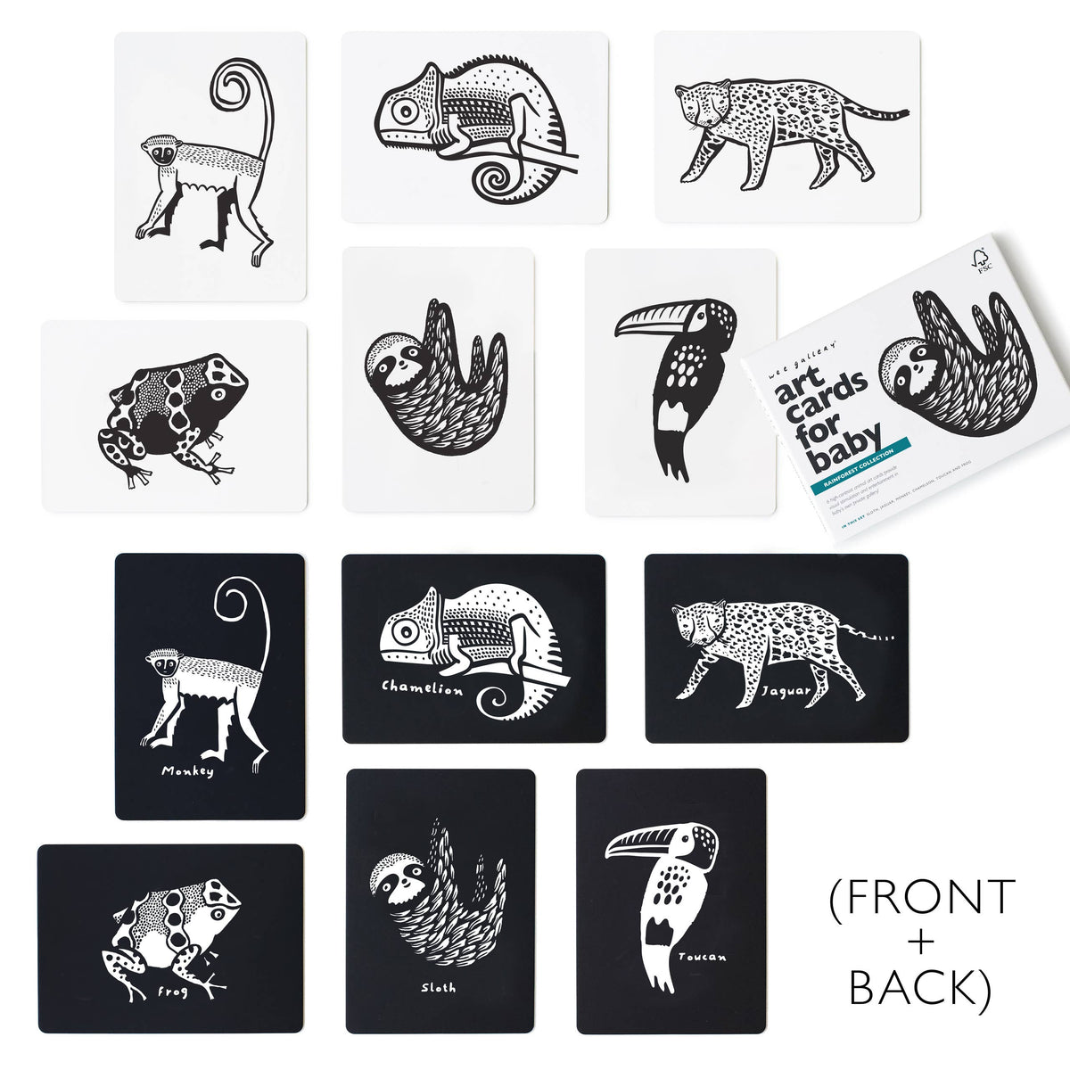 Art Cards for Baby - Rainforest Animals - Infant Flash Cards
