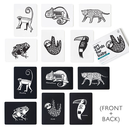 Art Cards for Baby - Rainforest Animals - Infant Flash Cards