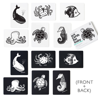 Art Cards for Baby - Ocean Animals - Infant Flash Cards