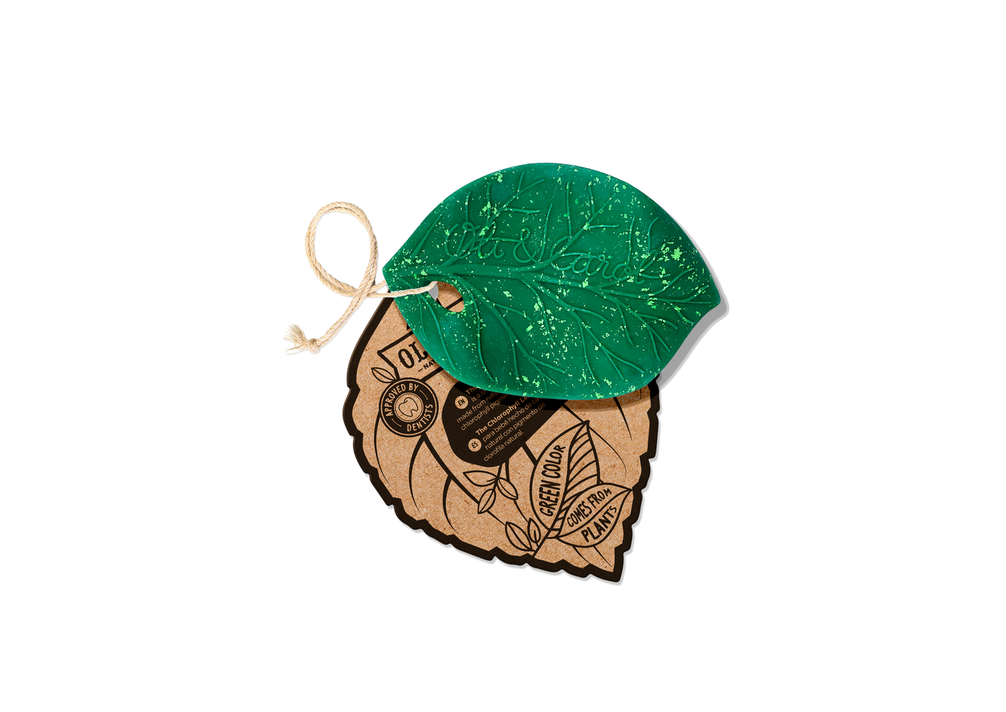 Chlorophyll Leaf