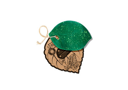 Chlorophyll Leaf
