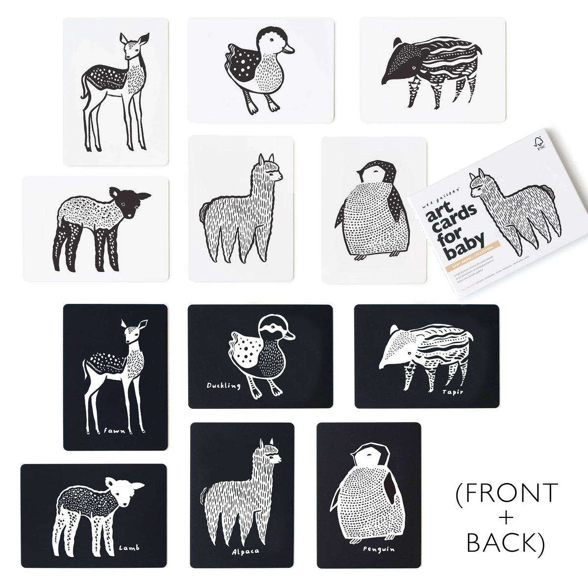 Art Cards for Baby - Baby Animals - Infant Flash Cards