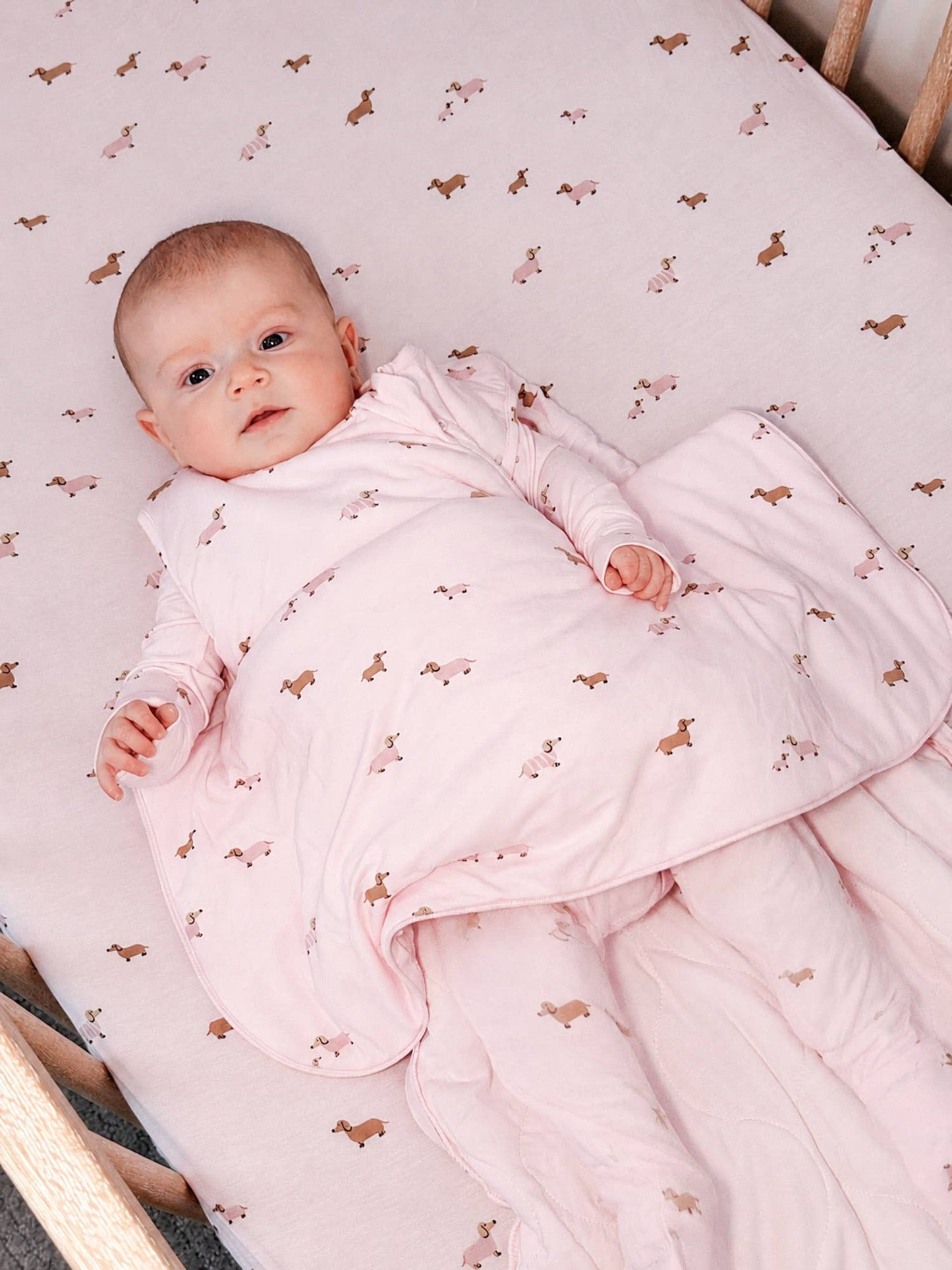 SLEEP BAG 1.0 TOG: Woof / 18-24M