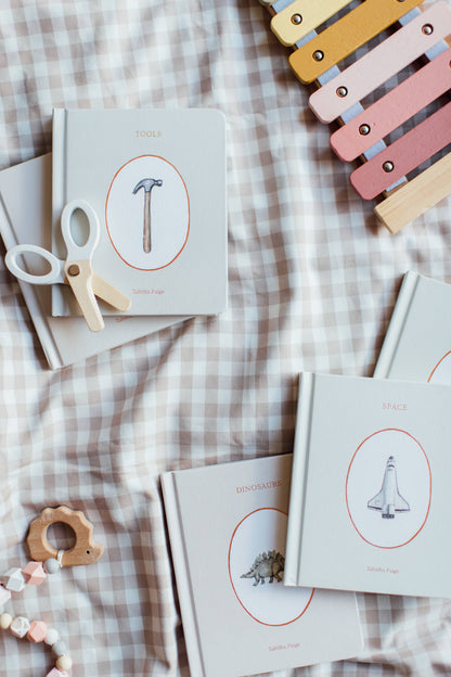 Our Little Library Vol. 3 (5 Board Books)