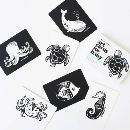 Art Cards for Baby - Ocean Animals - Infant Flash Cards