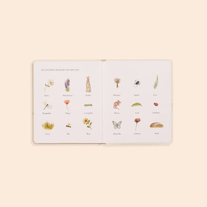 Our Little Adventures Box Set for Kids (3 Board Books)