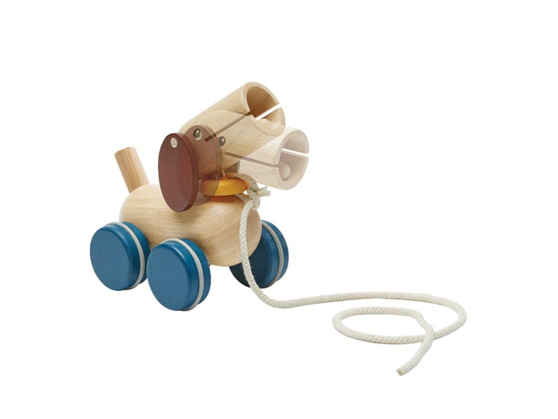 PlanToys Push & Pull Puppy