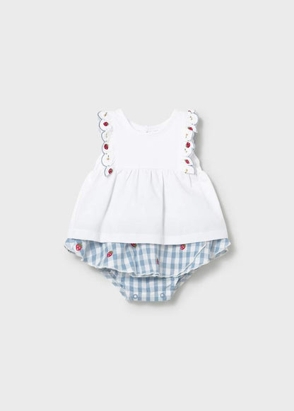 Newborn Girl Gingham Skirt and T-shirt Set 1820
