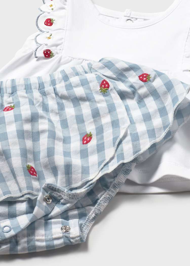 Newborn Girl Gingham Skirt and T-shirt Set 1820