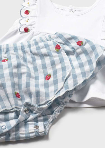 Newborn Girl Gingham Skirt and T-shirt Set 1820