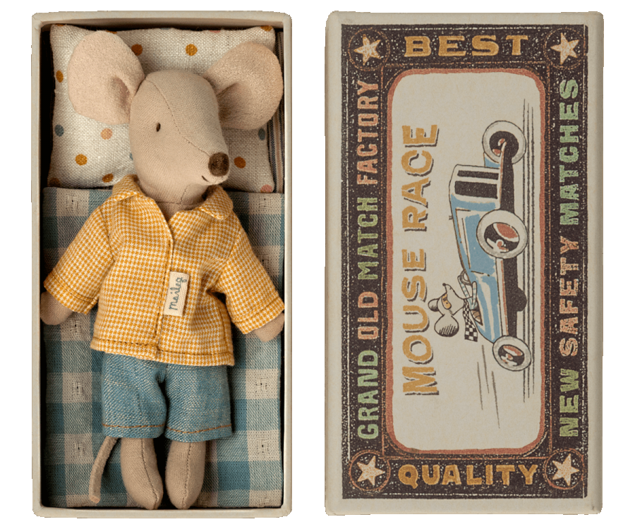 Big brother mouse in matchbox