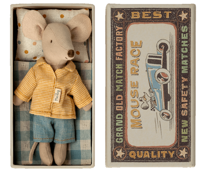 Big brother mouse in matchbox