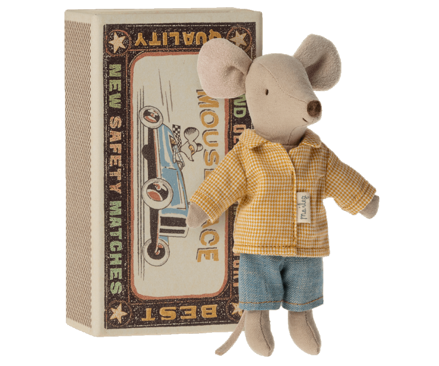 Big brother mouse in matchbox