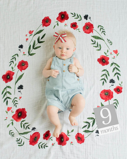 Photo Blanket and Baby Age Cards