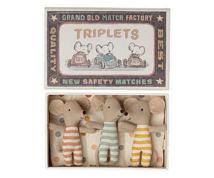 Triplets, Baby mice in matchbox