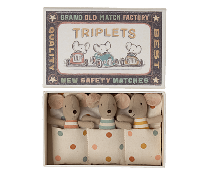 Triplets, Baby mice in matchbox