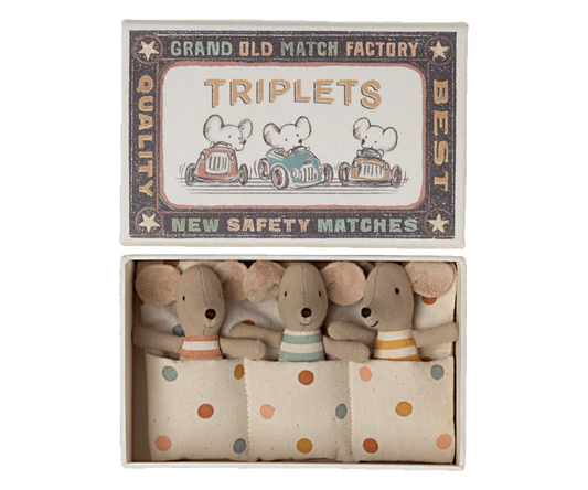 Triplets, Baby mice in matchbox